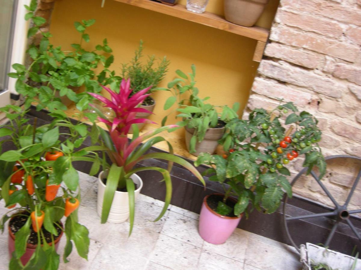 Terrazza Petroni Bolonha Exterior foto